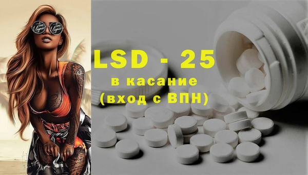 ГАЛЛЮЦИНОГЕННЫЕ ГРИБЫ Лабытнанги