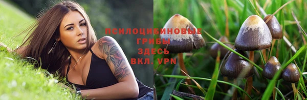 а пвп мука Лагань