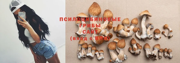 бутират Чекалин