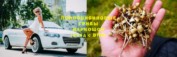 бутират Чекалин
