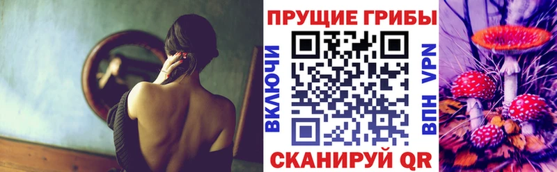 Псилоцибиновые грибы ЛСД  Бологое 