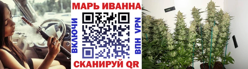 где купить   Бологое  Бошки марихуана ГИДРОПОН 